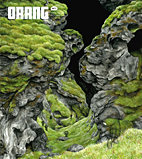 Orang 07