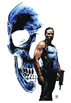 The Punisher - Garth Ennis Collection 02 HC