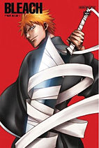 Bleach 06 DVD