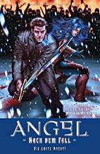 Angel - Nach dem Fall 02: Die erste Nacht (Angel - Jaeger der Finsternis)