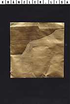 Lisa Kraenzler - Ausstellungskatalog