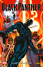 Black Panther Paperback 02: Sturm ueber Wakanda