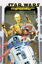 Star Wars Abenteuer 06: Zwei ausser Rand und Band