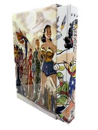 DC New Frontier - Schoene, neue Welt (Absolute Edition)