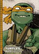 Teenage Mutant Ninja Turtles Splitter Collection 07 (TMNT) (Splitter Books)