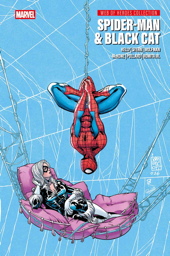 Spider-Man und Black Cat